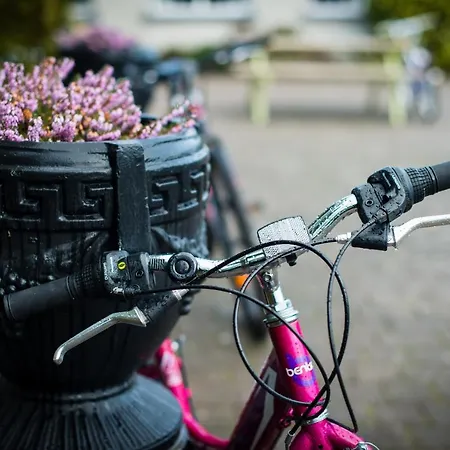 Szálloda Rathkeale House Limerick Junction