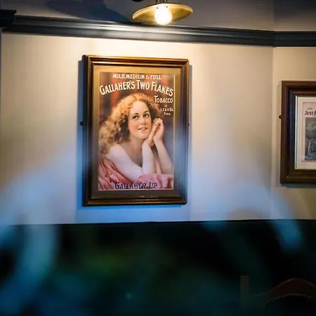 Ξενοδοχείο Rathkeale House Limerick Junction