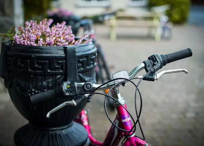 Отель Rathkeale House Лимерик